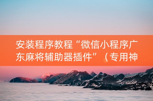 安装程序教程“微信小程序广东麻将辅助器插件”（专用神器下载)