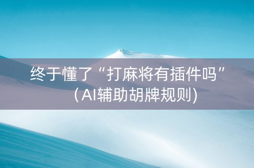 终于懂了“打麻将有插件吗”（AI辅助胡牌规则)