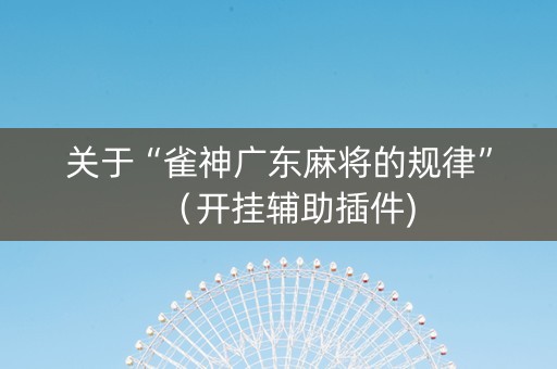 关于“雀神广东麻将的规律”（开挂辅助插件)
