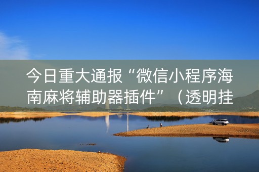 今日重大通报“微信小程序海南麻将辅助器插件”（透明挂辅助器)