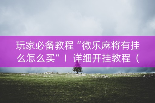 玩家必备教程“微乐麻将有挂么怎么买”！详细开挂教程（确实真的有挂)-知乎