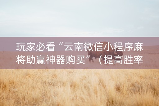 玩家必看“云南微信小程序麻将助赢神器购买”（提高胜率软件)