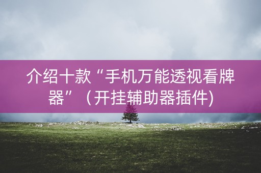 介绍十款“手机万能透视看牌器”（开挂辅助器插件)