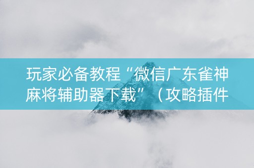 玩家必备教程“微信广东雀神麻将辅助器下载”（攻略插件)