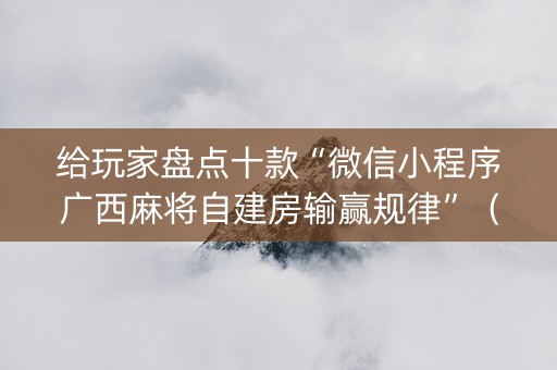 给玩家盘点十款“微信小程序广西麻将自建房输赢规律”（辅助器通用版)