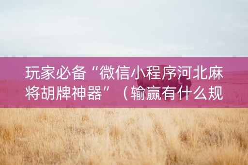 玩家必备“微信小程序河北麻将胡牌神器”（输赢有什么规律)