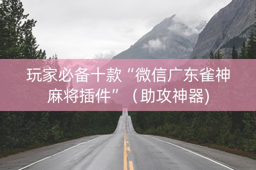 玩家必备十款“微信广东雀神麻将插件”（助攻神器)