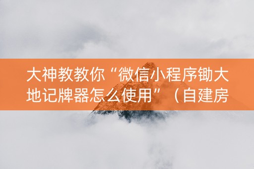 大神教教你“微信小程序锄大地记牌器怎么使用”（自建房胜负规律)