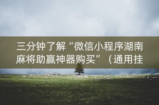 三分钟了解“微信小程序湖南麻将助赢神器购买”（通用挂软件多少钱)