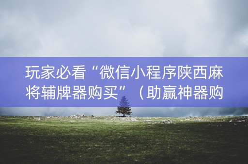 玩家必看“微信小程序陕西麻将辅牌器购买”（助赢神器购买)