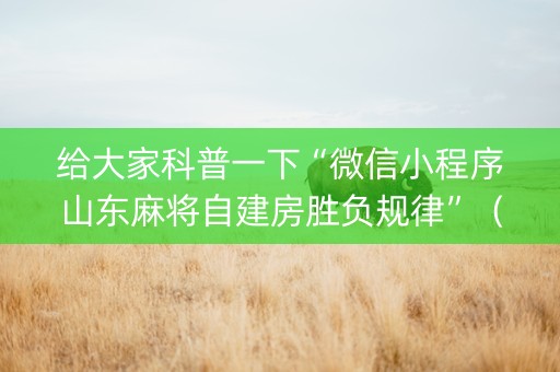给大家科普一下“微信小程序山东麻将自建房胜负规律”（万能开挂器)