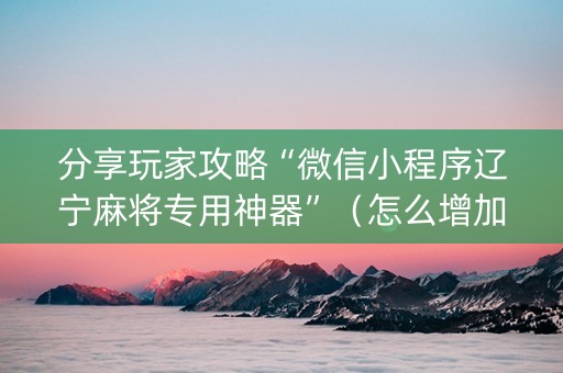 分享玩家攻略“微信小程序辽宁麻将专用神器”（怎么增加胜率)