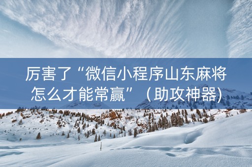 厉害了“微信小程序山东麻将怎么才能常赢”（助攻神器)