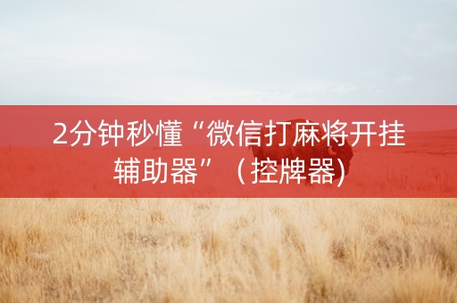2分钟秒懂“微信打麻将开挂辅助器”（控牌器)