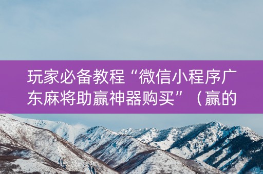 玩家必备教程“微信小程序广东麻将助赢神器购买”（赢的技巧规律)
