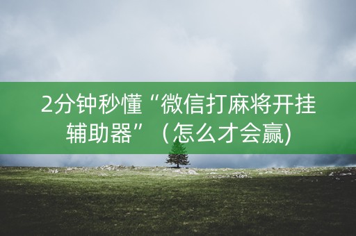 2分钟秒懂“微信打麻将开挂辅助器”（怎么才会赢)