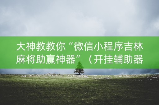 大神教教你“微信小程序吉林麻将助赢神器”（开挂辅助器脚本)