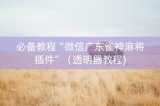 必备教程“微信广东雀神麻将插件”（透明器教程)