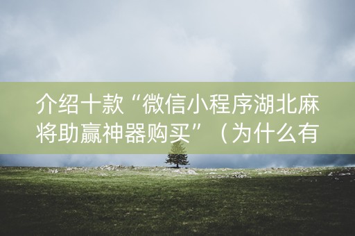 介绍十款“微信小程序湖北麻将助赢神器购买”（为什么有人一直赢)