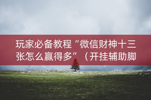 玩家必备教程“微信财神十三张怎么赢得多”（开挂辅助脚本)