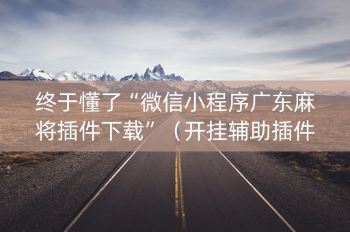终于懂了“微信小程序广东麻将插件下载”（开挂辅助插件)