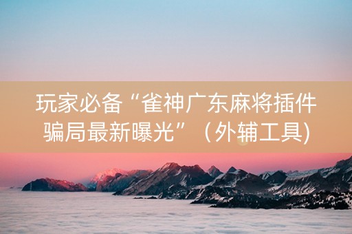 玩家必备“雀神广东麻将插件骗局最新曝光”（外辅工具)