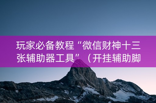 玩家必备教程“微信财神十三张辅助器工具”（开挂辅助脚本)