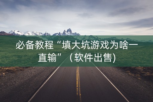 必备教程“填大坑游戏为啥一直输”（软件出售)