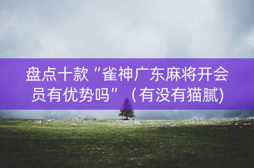 盘点十款“雀神广东麻将开会员有优势吗”（有没有猫腻)