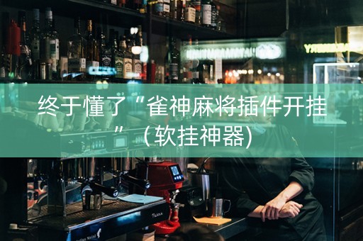 终于懂了“雀神麻将插件开挂”（软挂神器)