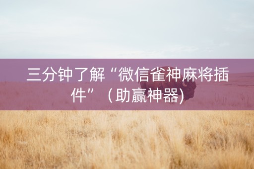 三分钟了解“微信雀神麻将插件”（助赢神器)