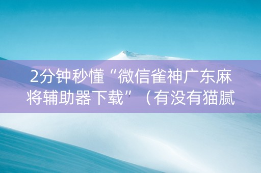 2分钟秒懂“微信雀神广东麻将辅助器下载”（有没有猫腻)