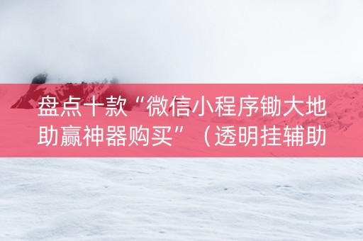 盘点十款“微信小程序锄大地助赢神器购买”（透明挂辅助器)