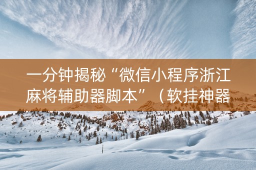 一分钟揭秘“微信小程序浙江麻将辅助器脚本”（软挂神器)