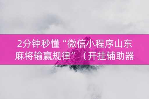 2分钟秒懂“微信小程序山东麻将输赢规律”（开挂辅助器脚本)