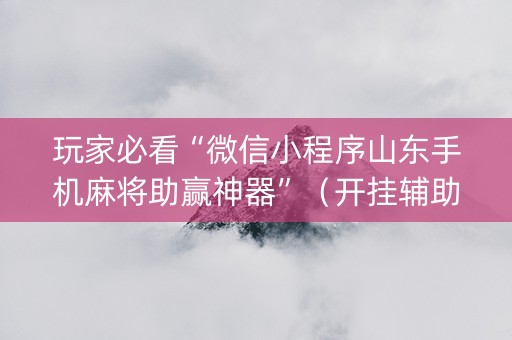 玩家必看“微信小程序山东手机麻将助赢神器”（开挂辅助器插件)