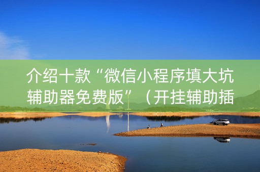 介绍十款“微信小程序填大坑辅助器免费版”（开挂辅助插件)