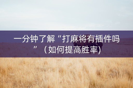 一分钟了解“打麻将有插件吗”（如何提高胜率)