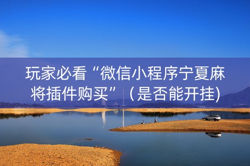 玩家必看“微信小程序宁夏麻将插件购买”（是否能开挂)