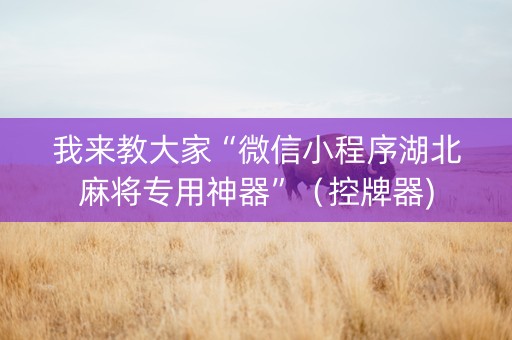 我来教大家“微信小程序湖北麻将专用神器”（控牌器)