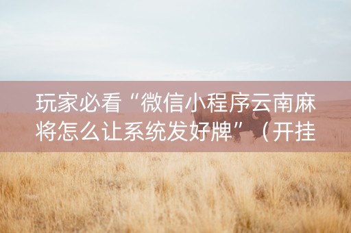 玩家必看“微信小程序云南麻将怎么让系统发好牌”（开挂辅助器脚本)