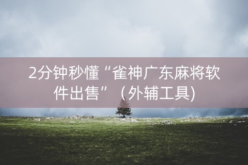 2分钟秒懂“雀神广东麻将软件出售”（外辅工具)