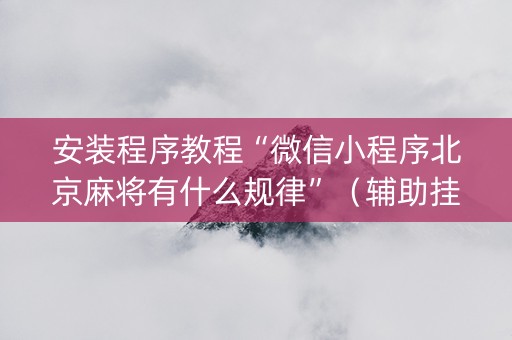 安装程序教程“微信小程序北京麻将有什么规律”（辅助挂发牌规律)