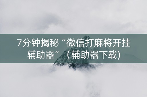 7分钟揭秘“微信打麻将开挂辅助器”（辅助器下载)