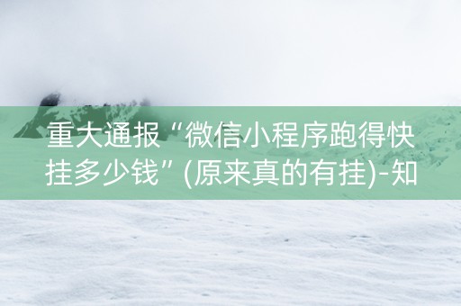 重大通报“微信小程序跑得快挂多少钱”(原来真的有挂)-知乎