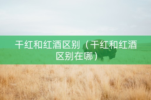 干红和红酒区别（干红和红酒区别在哪）