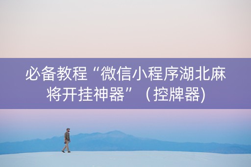必备教程“微信小程序湖北麻将开挂神器”（控牌器)