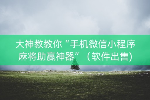大神教教你“手机微信小程序麻将助赢神器”（软件出售)