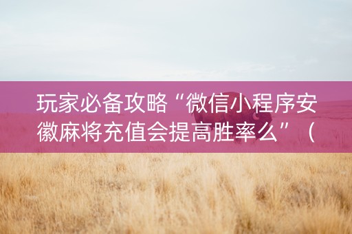 玩家必备攻略“微信小程序安徽麻将充值会提高胜率么”（必赢神器辅助器)