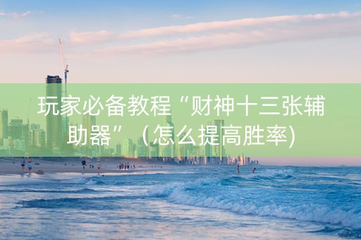 玩家必备教程“财神十三张辅助器”（怎么提高胜率)